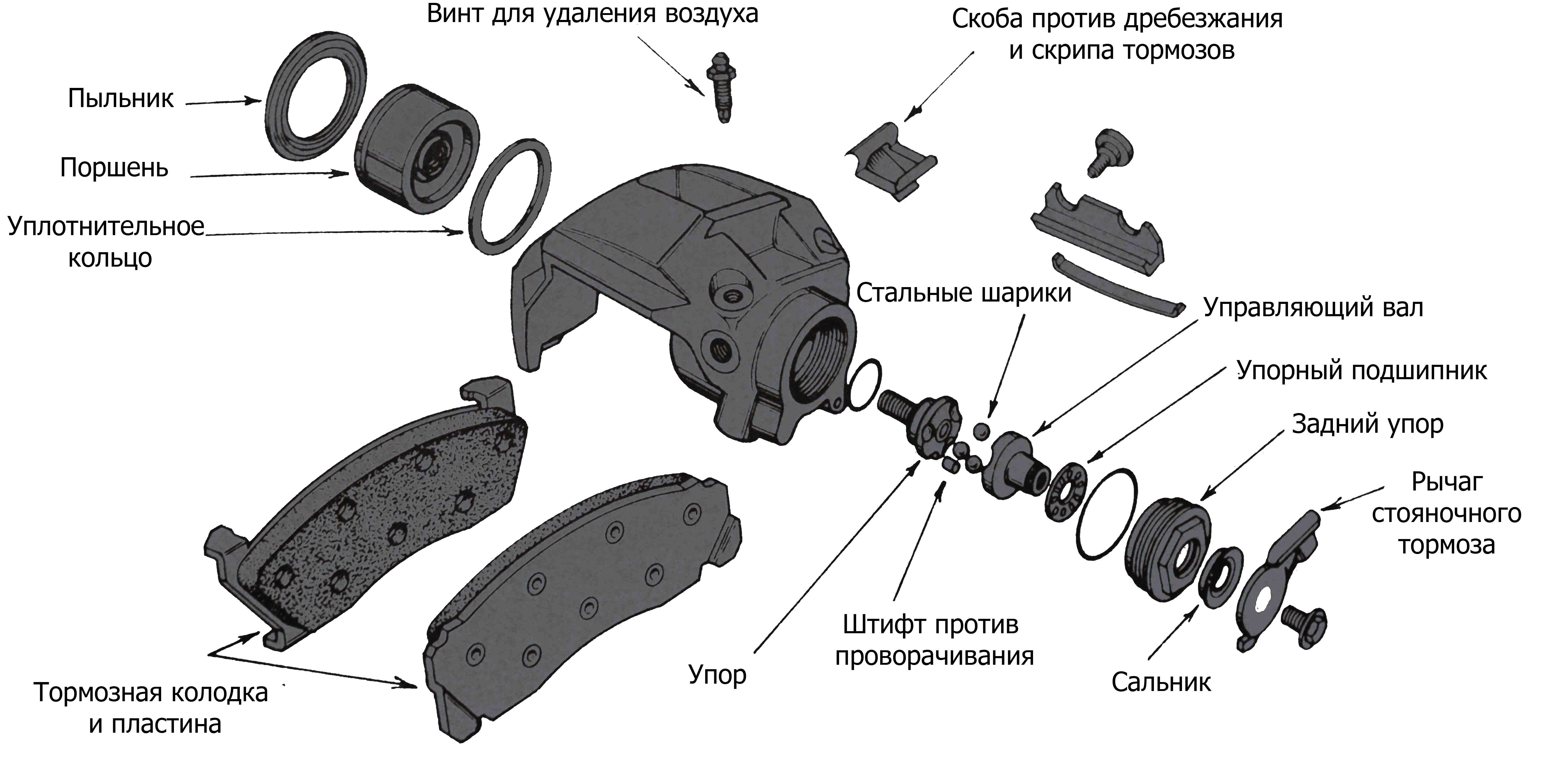 Глава 3 